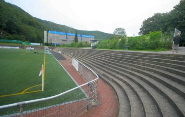 Reineckestadion