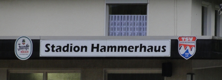 Stadion Hammerhaus