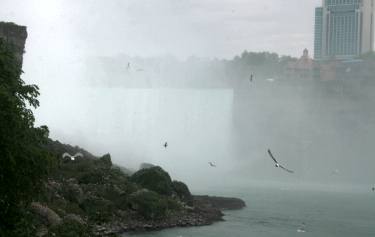 Die Niagaraflle