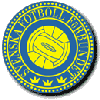 Schwedischer Fu&szlig;ballverband